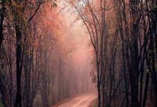 中超升班马初步签下奥斯卡 国有望增添归化新人.